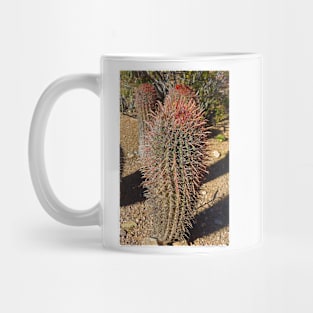 Desert Study 27 Mug